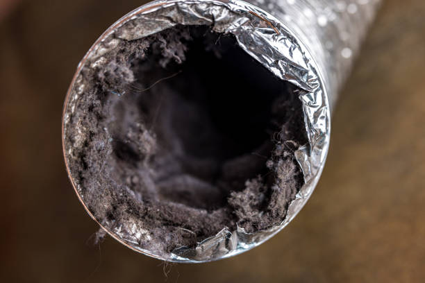 Best Affordable Duct Cleaning Services  in Cutlerville, MI